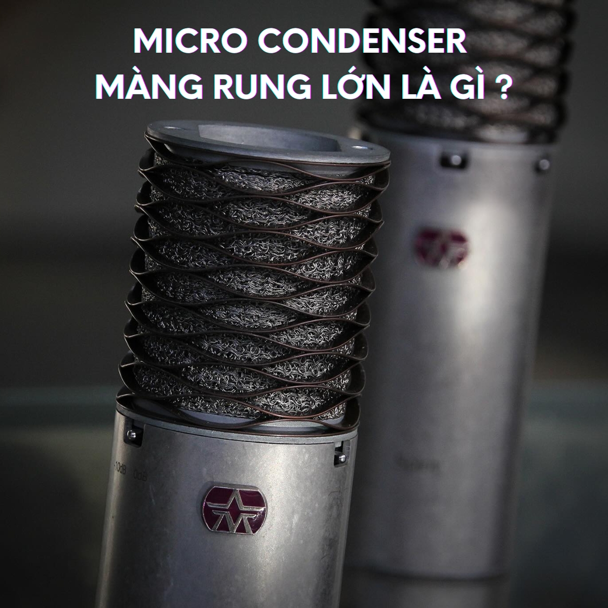 Khám Phá Micro Condenser Màng Rung Lớn: Lựa Chọn Không Thể Thiếu Trong ...