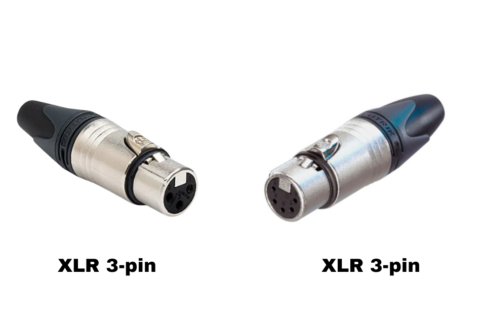 XLR Connector - Chuẩn Kết Nối Tín Hiệu Chuyên Nghiệp Trong Âm Thanh Và Công Nghệ Sân Khấu