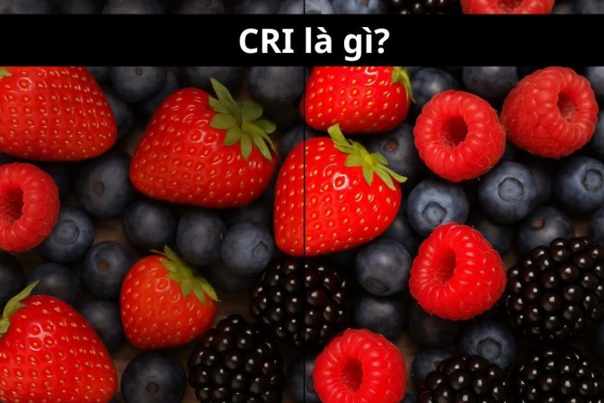 CRI là gì? Chỉ số hoàn màu tại sao quan trọng khi chọn đèn LED?