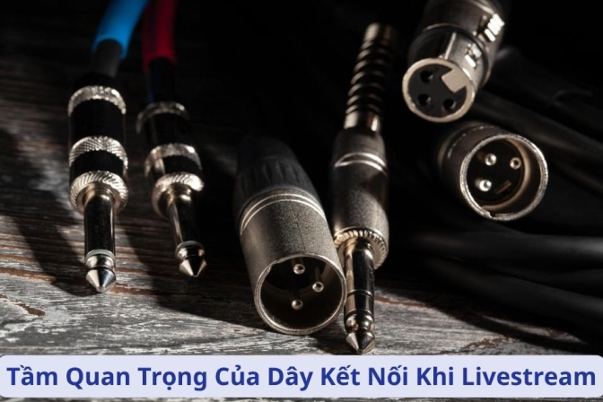 Tầm Quan Trọng Của Dây Kết Nối Trong Livestream Chuyên Nghiệp
