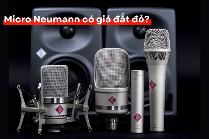 Vì Sao Micro Neumann Có Giá Cao Và Liệu Chúng Có Thực Sự "Đắt"?