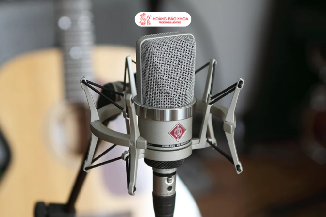 Neumann TLM 102 - Micro Condenser màng lớn nhỏ gọn dành cho thu âm chuyên nghiệp