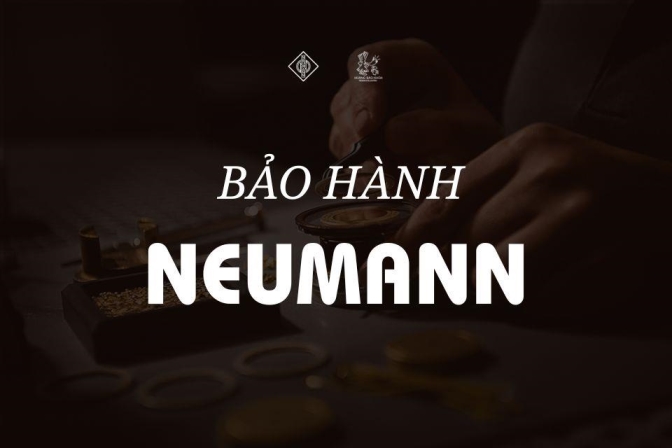 Bạn Mất Gì Khi Sửa Thiết Bị Neumann Không Đúng Trung Tâm?