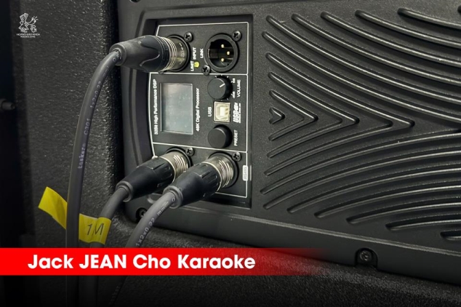 Giải Pháp Jack Cho Karaoke | REAN – Lắp Nhanh, Giá Tốt, Chất Lượng Ổn Định